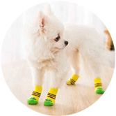 Dog socks